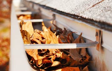 Saxlingham Nethergate gutter cleaning companies