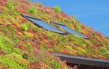 Saxlingham Nethergate living roof systems