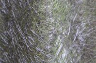 Saxlingham Nethergate fibreglass roof work